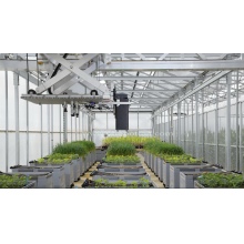 高通量植物光合表型测量仪LIFT
