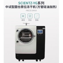 Scientz-10YG原位普通型真空冷冻干燥机